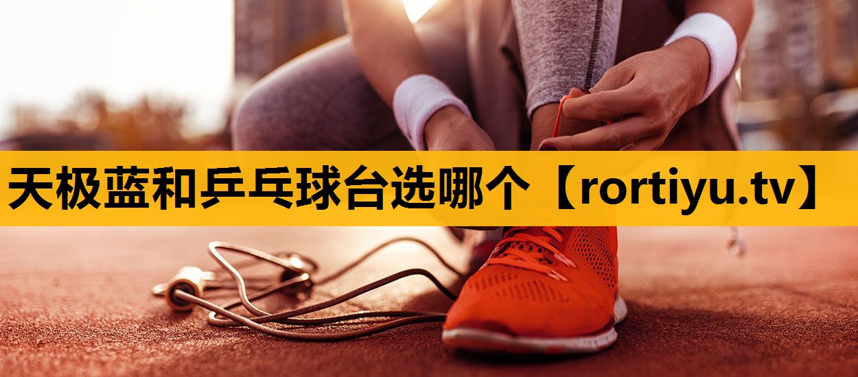 天极蓝和乒乓球台选哪个