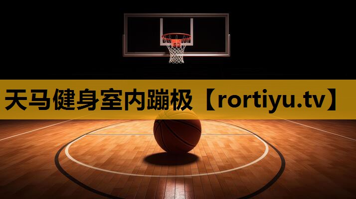 天马健身室内蹦极