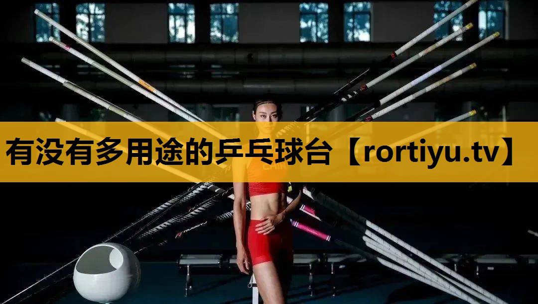 有没有多用途的乒乓球台
