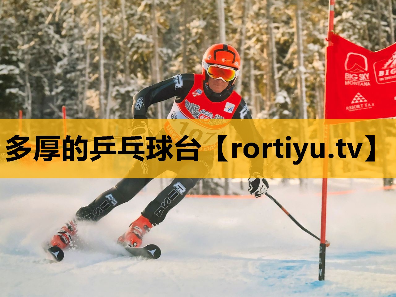 多厚的乒乓球台