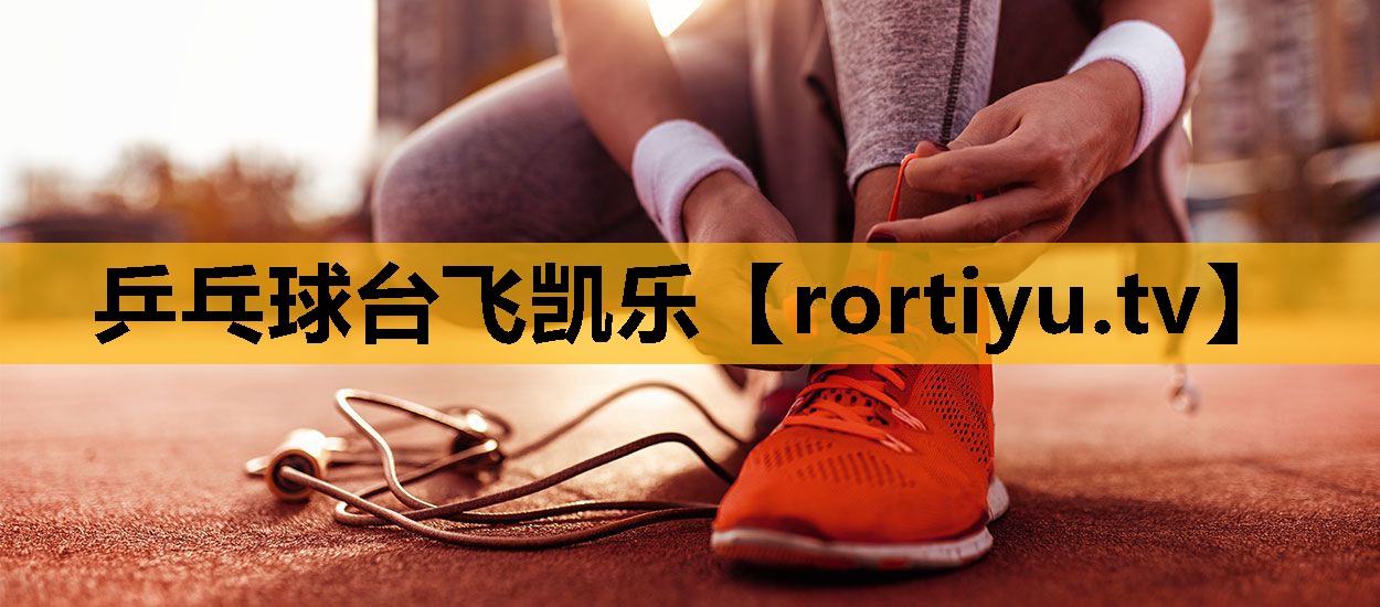 乒乓球台飞凯乐