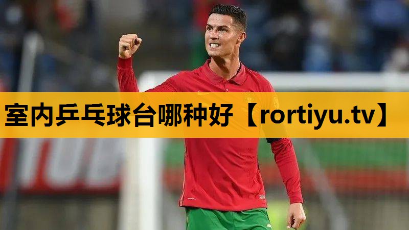 室内乒乓球台哪种好